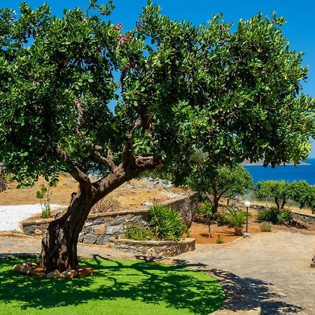 Elounda Anemelia Apartments Eksteriør bilde